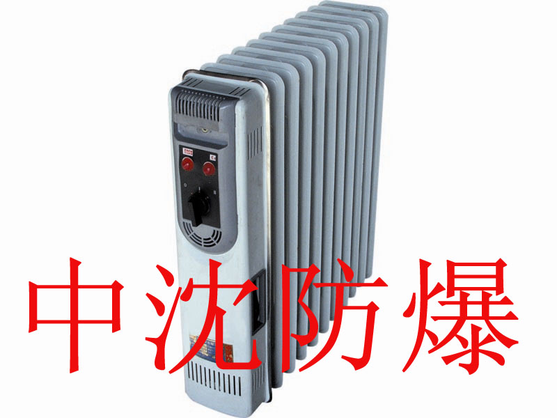 BDN58防爆電熱油汀 專業(yè)生產(chǎn)BDN58防爆電熱油汀 防爆取暖器