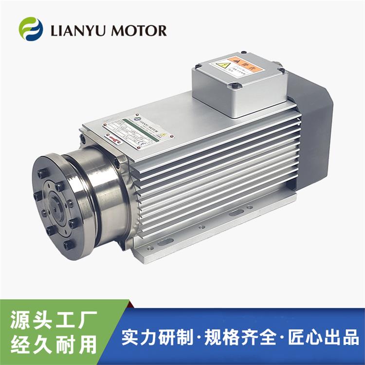 LIANYU高速精密夾鋸電機 磨削 鉆孔 打磨切割 雕刻 方形風(fēng)冷 220V 電主軸