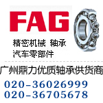 1300TV軸承FAG尺寸參數(shù)bearing