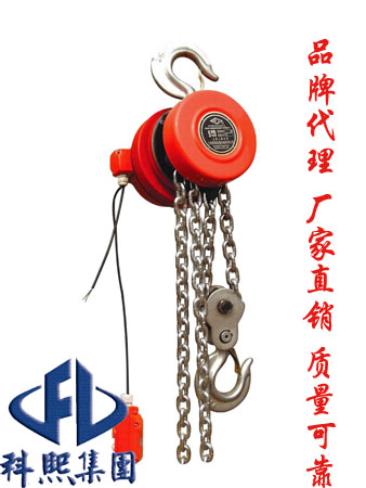 DHT環(huán)鏈電動(dòng)葫蘆 DHT環(huán)鏈電動(dòng)提升機(jī) DHT鏈條電動(dòng)葫蘆價(jià)格