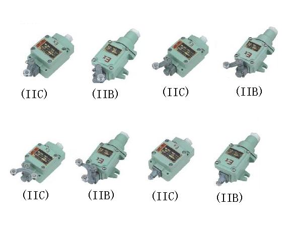 防爆行程開關  BLX69系列防爆行程開關(ⅡB、ⅡC)