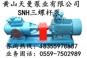 SNH2900R46U12.1W21螺桿泵，主機潤滑油泵