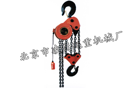 DHP環(huán)鏈電動(dòng)葫蘆 群吊電動(dòng)葫蘆凌鷹給力產(chǎn)品