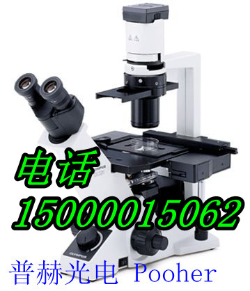 奧林巴斯倒置顯微鏡（代理商）