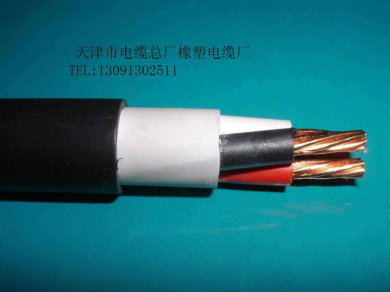 DJYJPVP22計算機電纜 DJYJPVP22鎧裝計算機電纜