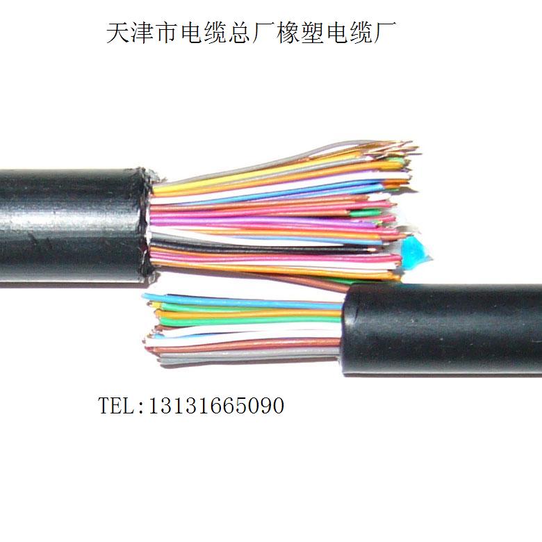 銷(xiāo)售計(jì)算機(jī)電纜，DJYVP計(jì)算機(jī)電纜廠家直銷(xiāo)