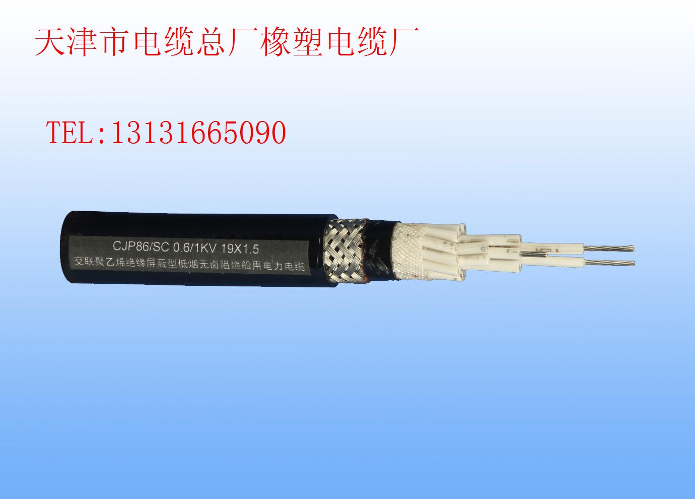 齊全DJFFP電纜 DJFPVP規(guī)格船用橡套電纜CEFR-天津市電