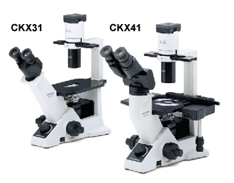 倒置生物顯微鏡奧林巴斯CKX41