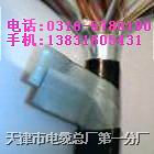 電話電纜100對價格 HYA 100*2*0.5 0.4