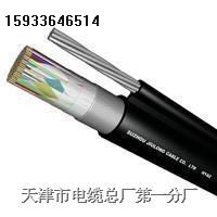 揚聲器電纜， 驅(qū)動揚聲器電纜 HAV 2X32X0.15