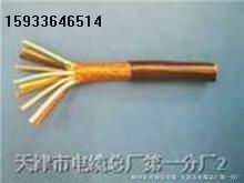 RS485專用電纜 20X12AWG RS485監(jiān)測(cè)電纜，瓦斯監(jiān)控