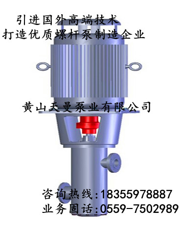 山東黃島電廠火電廠機(jī)組改造工程專用3GR100×3C2三螺桿泵