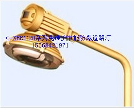 SBR1120系列免維護節(jié)能燈 SBR1120系列免維護節(jié)能燈