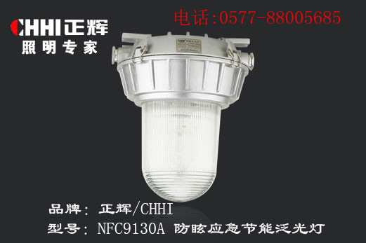 NEC9130A-防眩應急節(jié)能泛光燈