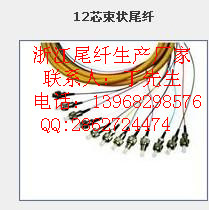 12芯FC束狀尾纖-12芯SC光纖跳線-12芯SC光纖跳纖