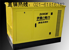 20KW雙燃料發(fā)電機|自啟動汽油發(fā)電機