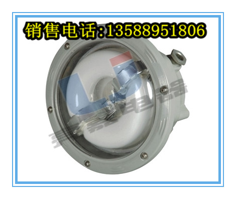 CNFC9176-AC220V-50HZ長(zhǎng)壽無(wú)極防水防塵頂燈