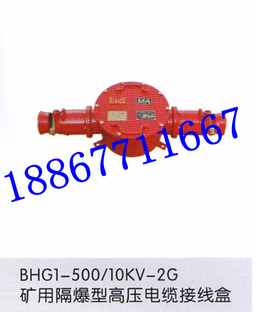 礦用高壓接線盒 BHG1-200/10KV-2通