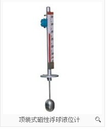 UHZ-850A/B 頂裝型磁性浮球液位計  誠信經營 價格優(yōu)惠