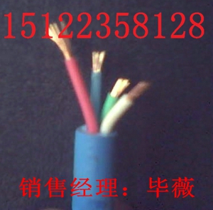 （廠家直銷電纜-（推薦產(chǎn)品報(bào)價(jià)）MHYV礦用防爆電纜）（供應(yīng)）