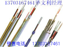 敷設(shè)電纜ZR-HYA23-50×2×0.7 {供應(yīng)}