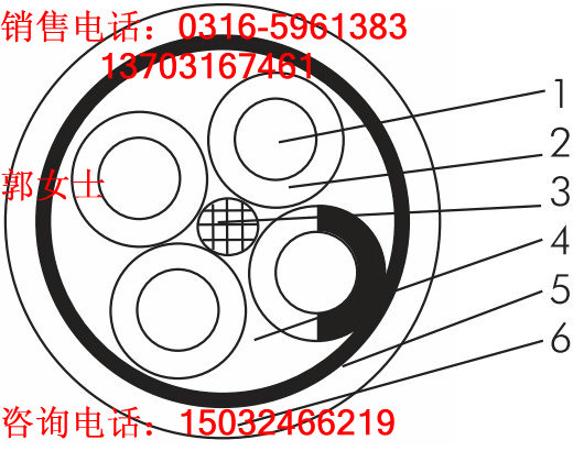 銅帶屏蔽計(jì)算機(jī)電纜DJYVP2;DJYP2VP2;DJYP2V-2