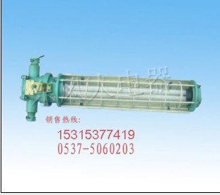 名列前茅DSG18/127Y(A)防爆熒光燈