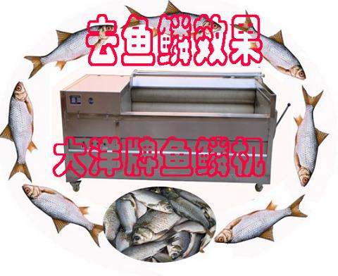 脫魚鱗機價格 脫魚鱗機生產(chǎn)廠家 去魚鱗機供應(yīng)商