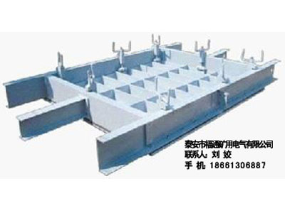 泰安福通生產(chǎn)防火、防水密閉門