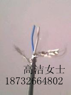 STP-120電纜 STP-120電纜規(guī)格 STP-120電纜型號(hào)