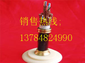 計(jì)算機(jī)電纜十年品質(zhì)保障三年售后服務(wù)