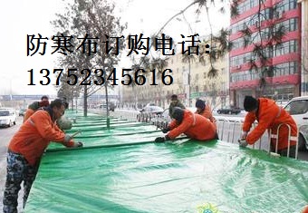 防寒布廠家直銷 供應(yīng)靜海綠化用防寒布 塘沽花草御寒防寒布報(bào)價(jià)