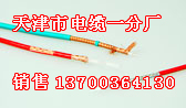 撫順礦用防爆電話電纜銷售，撫順煤礦防爆電話電纜廠家