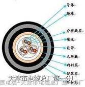 吳江阻燃485信號電纜廠家，吳江ZR485數(shù)據(jù)電纜生產(chǎn)，