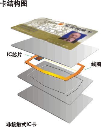 VӆӡˢwICa(chn)SM1ICa(chn)S