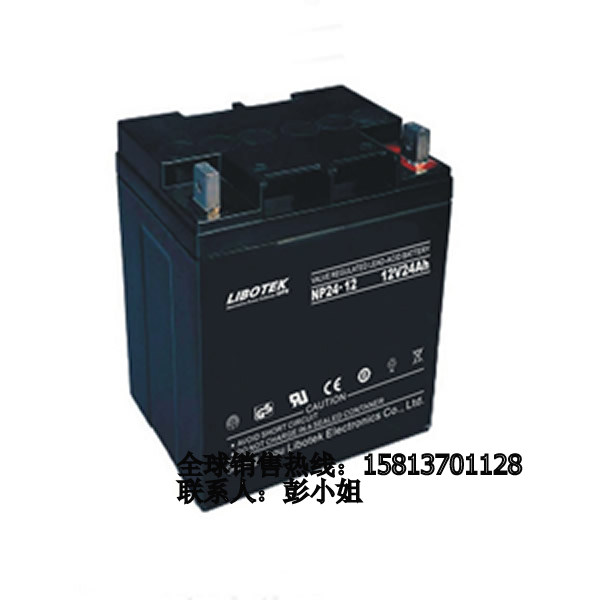 德國利波特免維護(hù)鉛酸蓄電池NP24-12 12V24AH