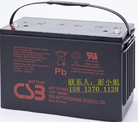 美國CSB免維護(hù)鉛酸蓄電池GP121000 12V100AH