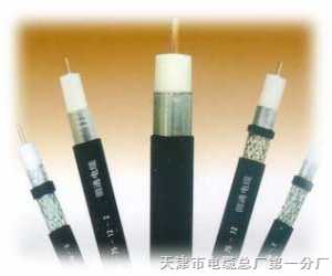 電纜供應(yīng)-純銅特價(jià)!絕緣射頻電纜價(jià)格表《SYV-75-12》專業(yè)報(bào)