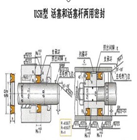 USH密封圈-活塞活塞桿雙用密封圈-天津伊威井瑞梁小姐電話