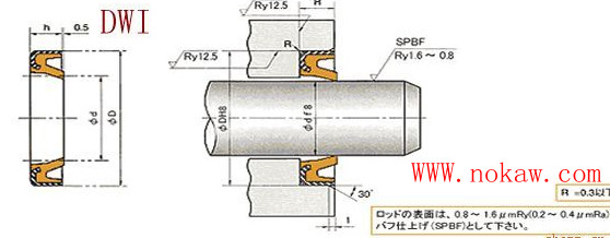 dwi、DKB/DKBI型密封圈，天津專賣原裝進口nok密封圈