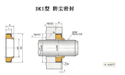 DKI往復(fù)運(yùn)動(dòng)防塵密封件-NOK密封件-天津伊威井瑞廠家專賣