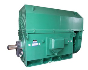 YKS3551-2 220KW 6KV高壓電機(jī) 西瑪電機(jī) 西安電機(jī)