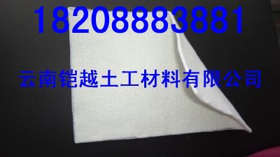 供應(yīng)云南土工布(價(jià)格)云南鎧越保溫材料有限公司≡謝強(qiáng)(銷售經(jīng)理)手