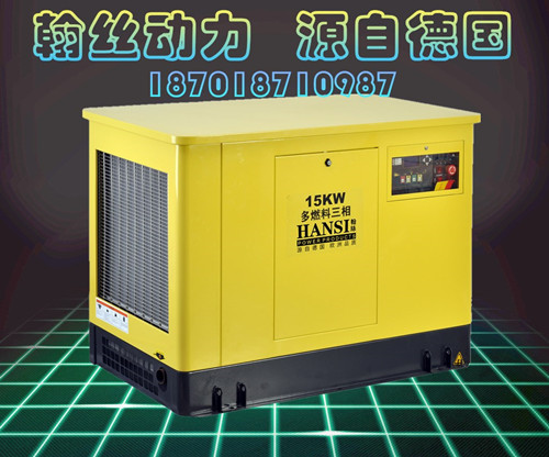 15KW汽油發(fā)電機停電應急低噪音發(fā)電機HS15REG