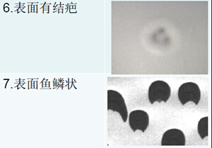 鋰電池極片表面缺陷檢測-表面有結(jié)疤/魚鱗狀