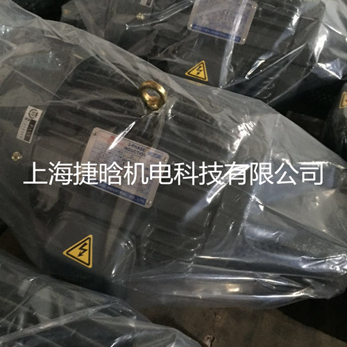 臺(tái)灣群策群力C10-43B0機(jī)床專用7.5KW液壓電機(jī)