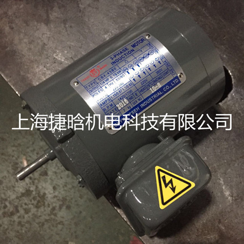 臺灣群策CB4-43B0 三角擺線泵潤滑泵專用0.19KW電機