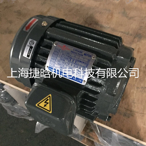 臺灣S.Y群策C02-63B0 2HP-6P內(nèi)插式1.5KW液壓電機