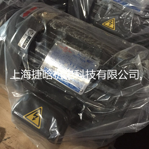 臺(tái)灣群策C20-63B0 20HP-6P臥式液壓內(nèi)軸電動(dòng)機(jī)