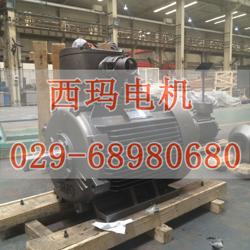 YGP355L3-6 160KW/F級(jí)或H級(jí)絕緣輥道變頻專(zhuān)用電機(jī)現(xiàn)貨【鴻泰電機(jī)】